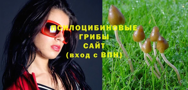 прущая мука Семёнов