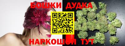 apvp Кимры
