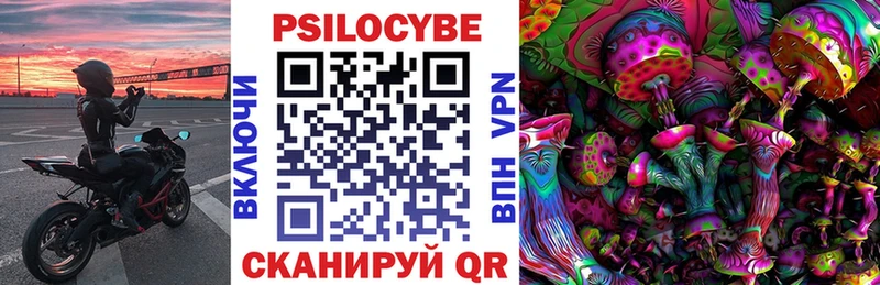цены   Кыштым  блэк спрут рабочий сайт  Псилоцибиновые грибы Psilocybe 