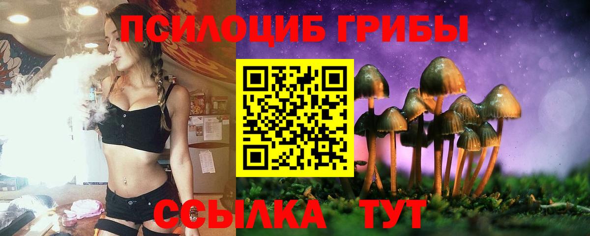 Псилоцибиновые грибы Psilocybe  Псилоцибиновые грибы GOLDEN TEACHER  Кыштым  Вход с VPN 